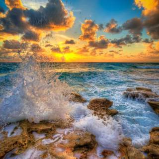 Florida beach iPhone wallpaper