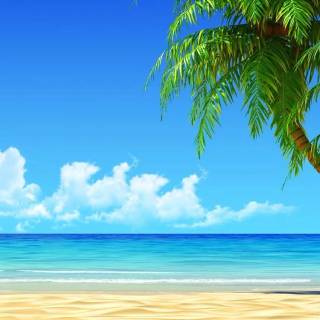 Florida beach iPhone wallpaper