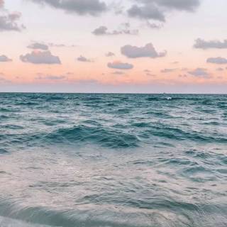 Florida beach iPhone wallpaper