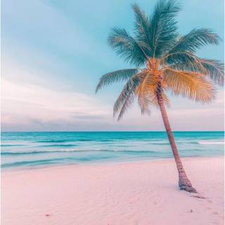 Florida beach iPhone wallpaper