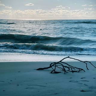 Florida beach iPhone wallpaper