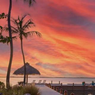 Florida beach iPhone wallpaper