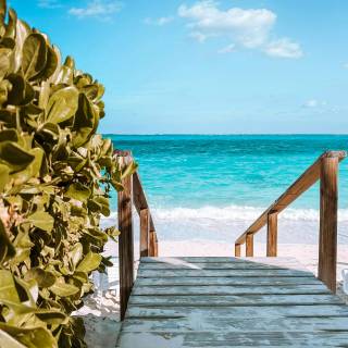 Florida beach iPhone wallpaper