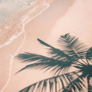 Florida beach iPhone wallpaper