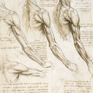 Da Vinci phone wallpaper