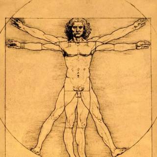 Da Vinci phone wallpaper