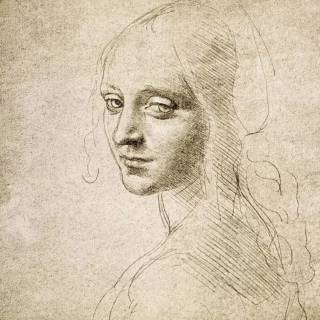 Da Vinci phone wallpaper