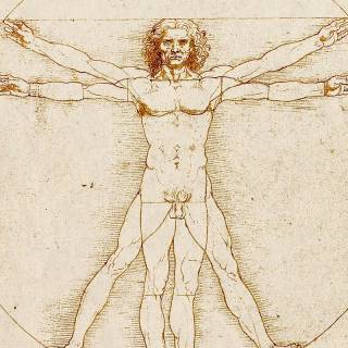 Da Vinci phone wallpaper