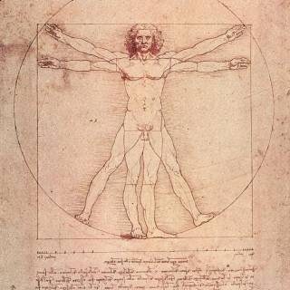 Da Vinci phone wallpaper