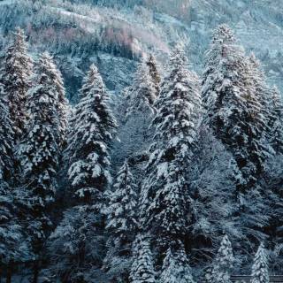 Snow mountains iPhone wallpaper