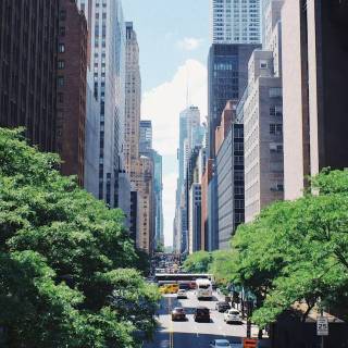 Chicago iPhone X wallpaper