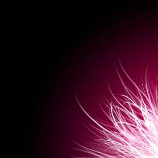 Pink and black desktop wallpaper