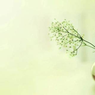 Elegant desktop wallpaper