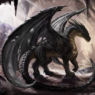 Desktop dragon wallpaper