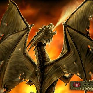 Desktop dragon wallpaper