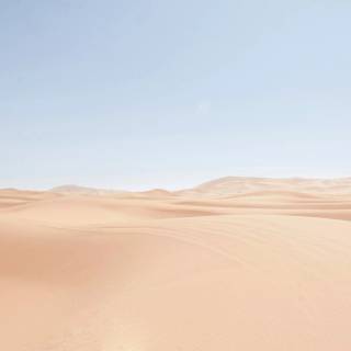 Desert desktop wallpaper