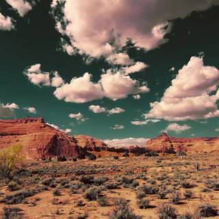 Desert desktop wallpaper