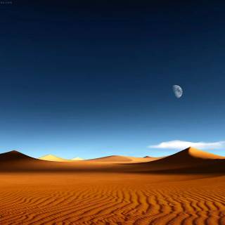 Desert desktop wallpaper