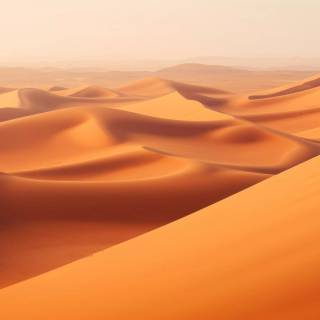 Desert desktop wallpaper