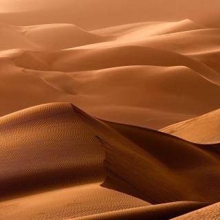 Desert desktop wallpaper