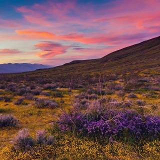 Desert desktop wallpaper