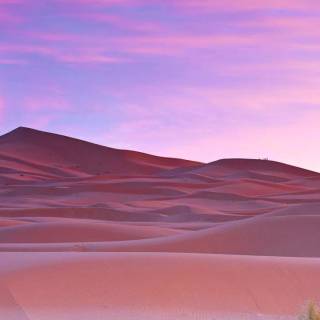 Desert desktop wallpaper