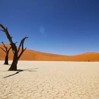 Desert desktop wallpaper