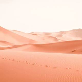 Desert desktop wallpaper