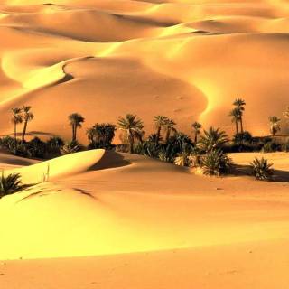 Desert desktop wallpaper