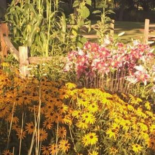 Cottage desktop wallpaper