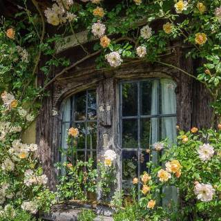 Cottage desktop wallpaper