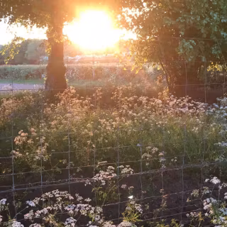 Cottage desktop wallpaper