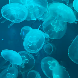 Cyan desktop wallpaper