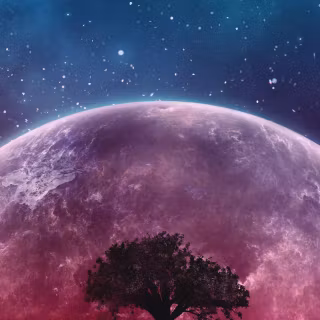 Mobile moon wallpaper