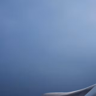 Poco mobile wallpaper