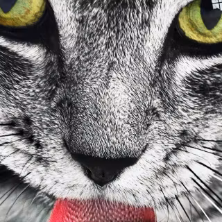 Poco mobile wallpaper