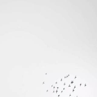 Mobile white wallpaper