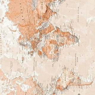 World map mobile wallpaper