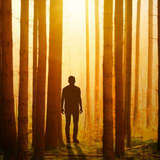 Silhouette man wallpaper