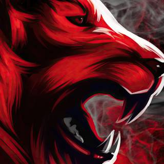 Tiger 4k HD wallpaper