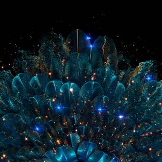 4k feather wallpaper