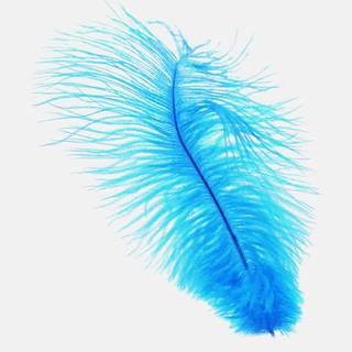 4k feather wallpaper