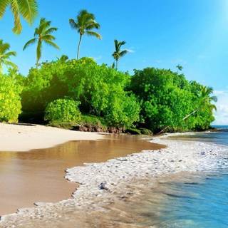 iPhone paradise wallpaper