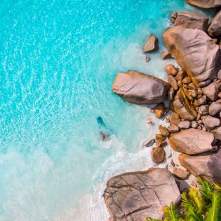 iPhone paradise wallpaper