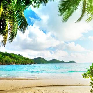 iPhone paradise wallpaper