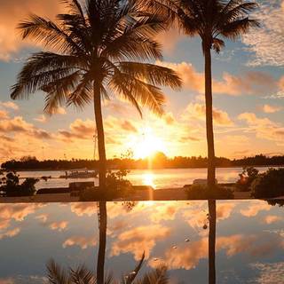 iPhone paradise wallpaper