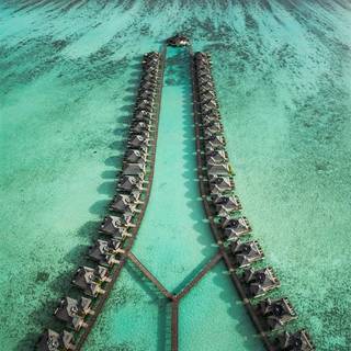 iPhone paradise wallpaper