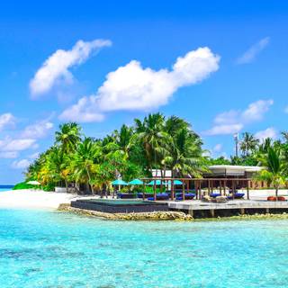 iPhone paradise wallpaper