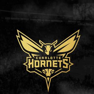 Charlotte Hornets iPhone wallpaper