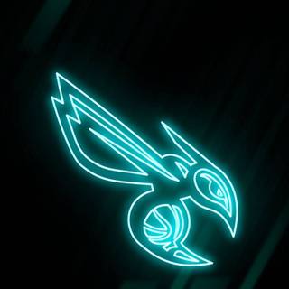 Charlotte Hornets iPhone wallpaper